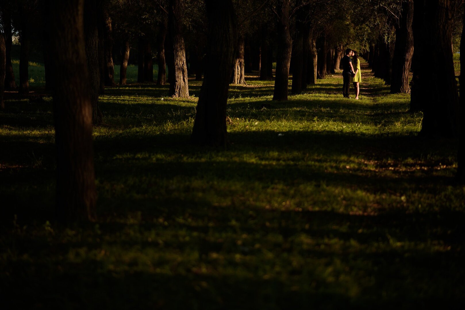 Couple sharing an intimate moment in a sunlit forest path, surrounded by tall trees casting long shadows.